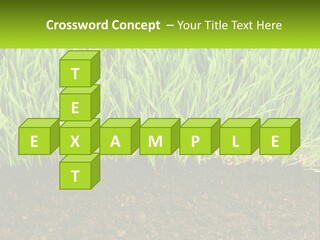 Construct Background Build PowerPoint Template