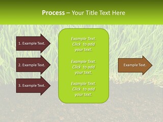 Construct Background Build PowerPoint Template