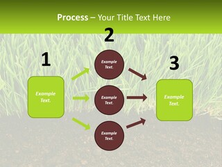Construct Background Build PowerPoint Template