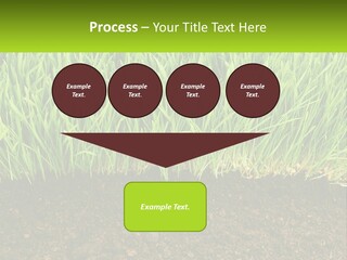Construct Background Build PowerPoint Template