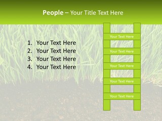 Construct Background Build PowerPoint Template