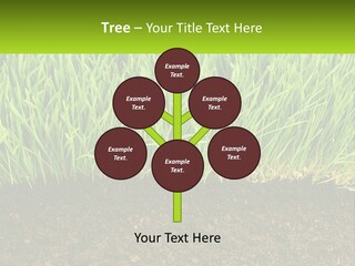 Construct Background Build PowerPoint Template