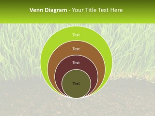 Construct Background Build PowerPoint Template