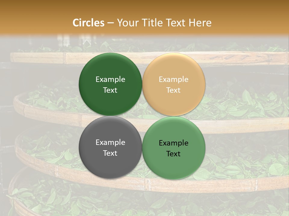 Leaf Estate Green PowerPoint Template