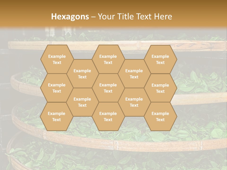 Leaf Estate Green PowerPoint Template