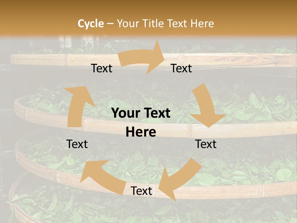 Leaf Estate Green PowerPoint Template