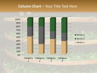 Leaf Estate Green PowerPoint Template