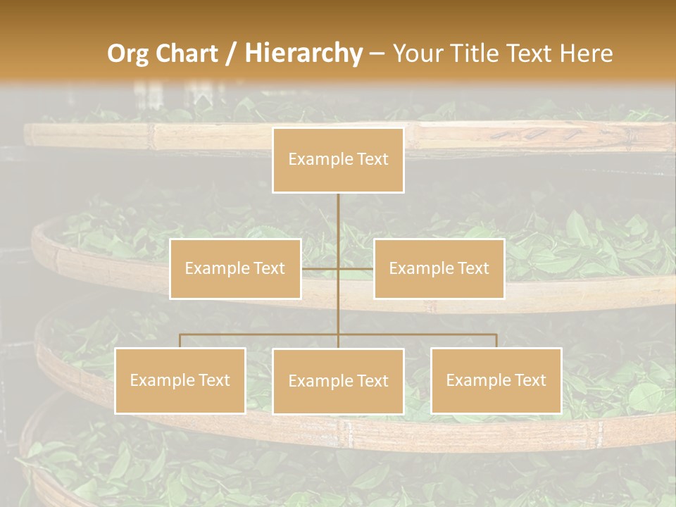 Leaf Estate Green PowerPoint Template