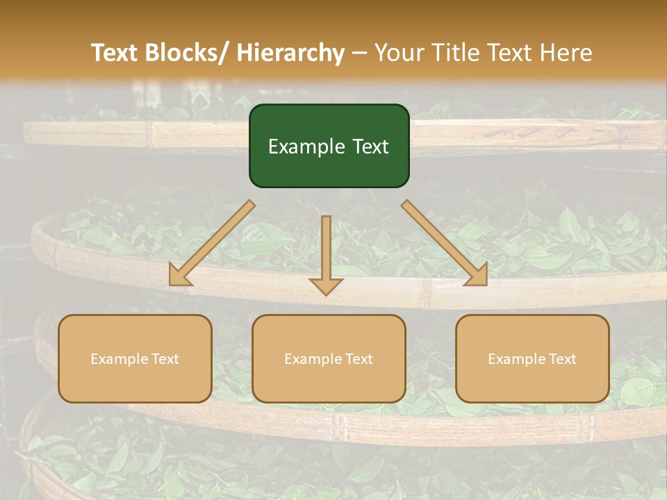 Leaf Estate Green PowerPoint Template