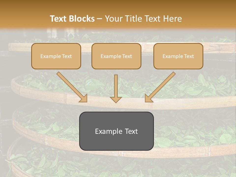 Leaf Estate Green PowerPoint Template