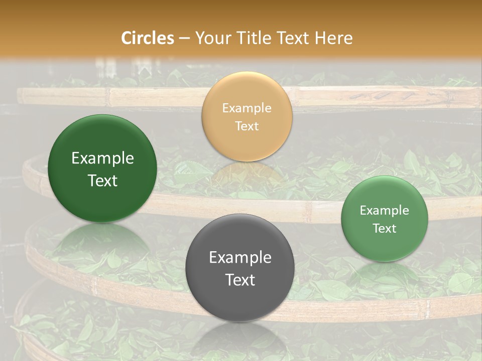 Leaf Estate Green PowerPoint Template