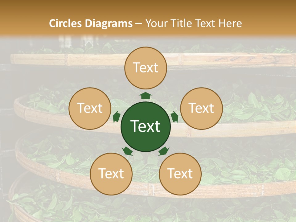 Leaf Estate Green PowerPoint Template