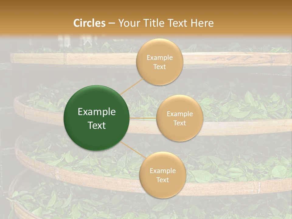 Leaf Estate Green PowerPoint Template