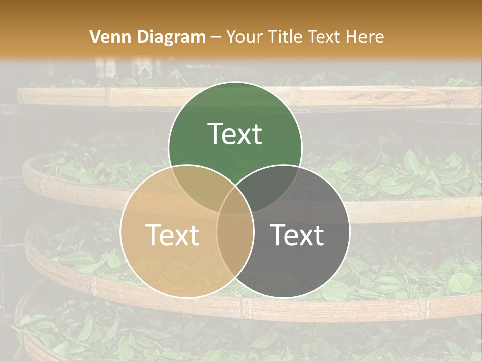 Leaf Estate Green PowerPoint Template