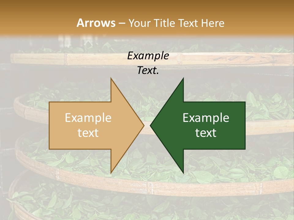 Leaf Estate Green PowerPoint Template