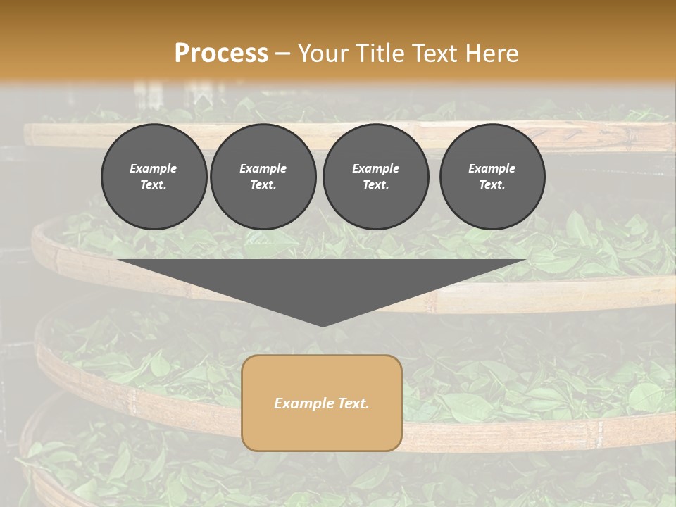 Leaf Estate Green PowerPoint Template