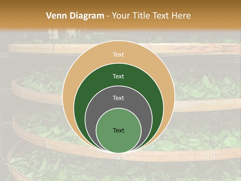 Leaf Estate Green PowerPoint Template