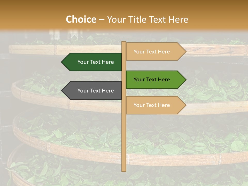 Leaf Estate Green PowerPoint Template
