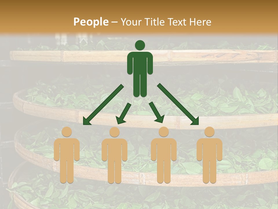 Leaf Estate Green PowerPoint Template