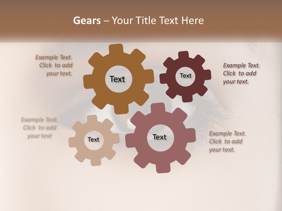 Build Leaf Home PowerPoint Template