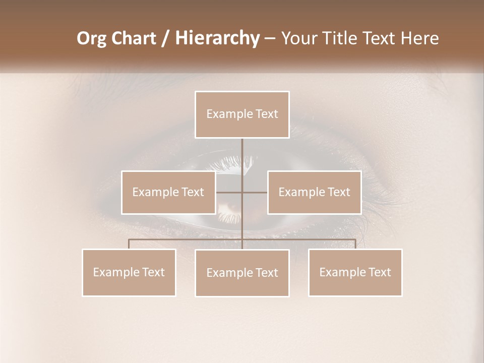 Build Leaf Home PowerPoint Template
