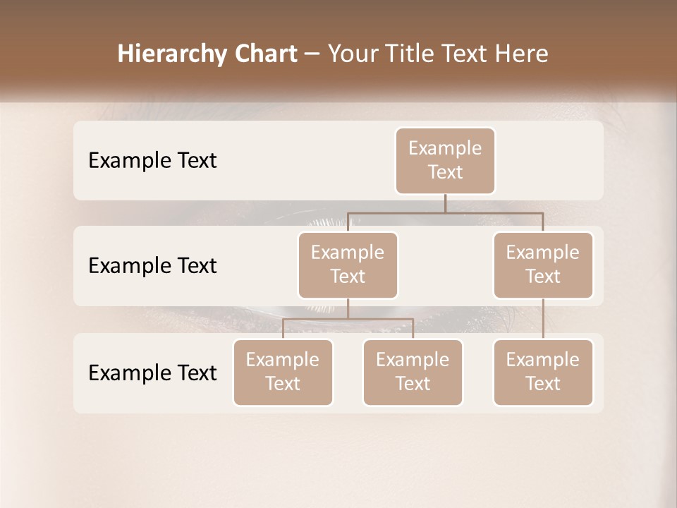 Build Leaf Home PowerPoint Template