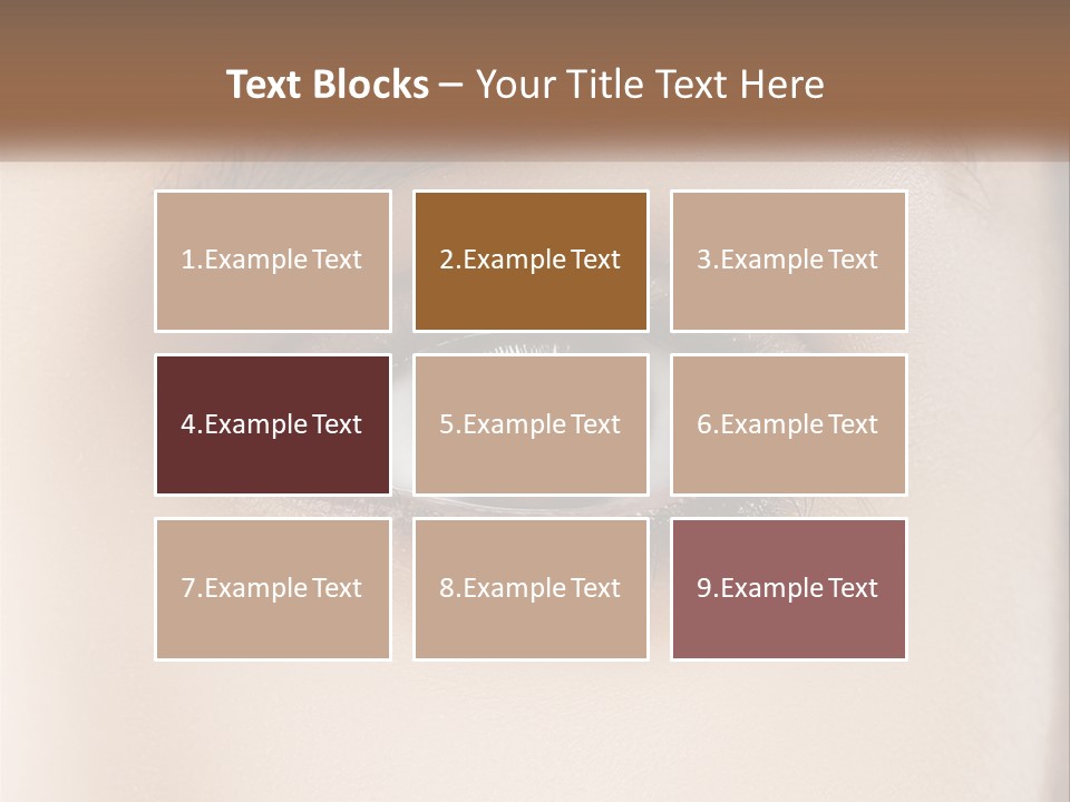 Build Leaf Home PowerPoint Template