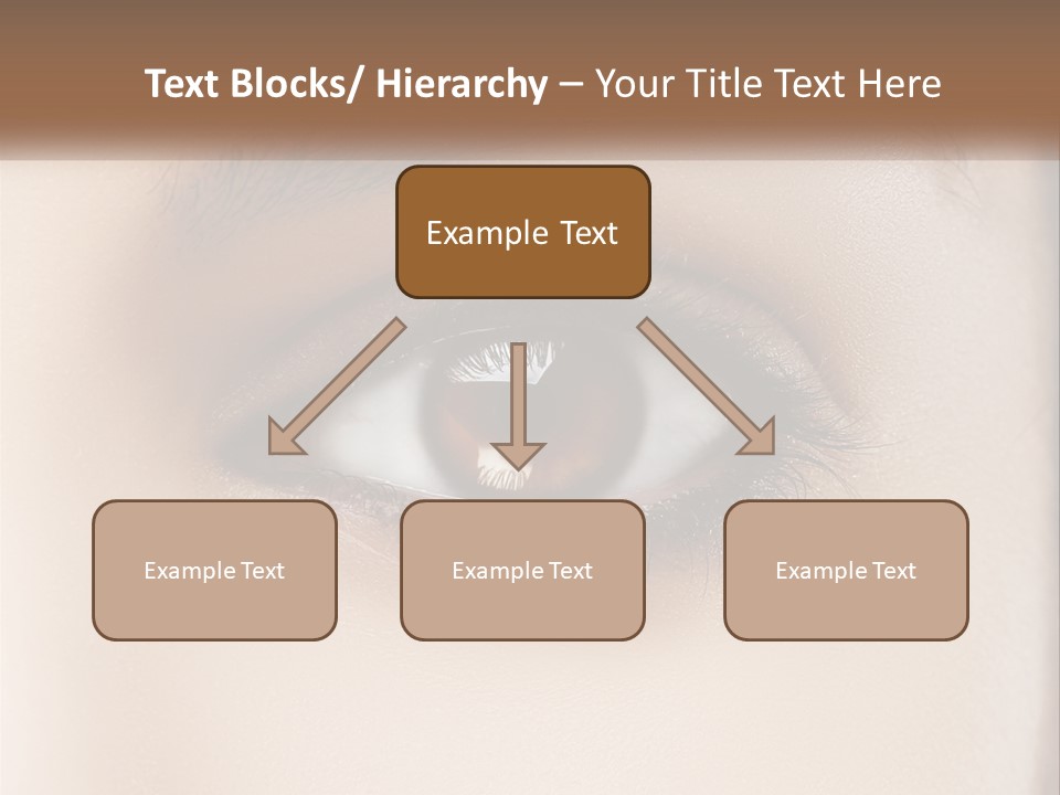 Build Leaf Home PowerPoint Template
