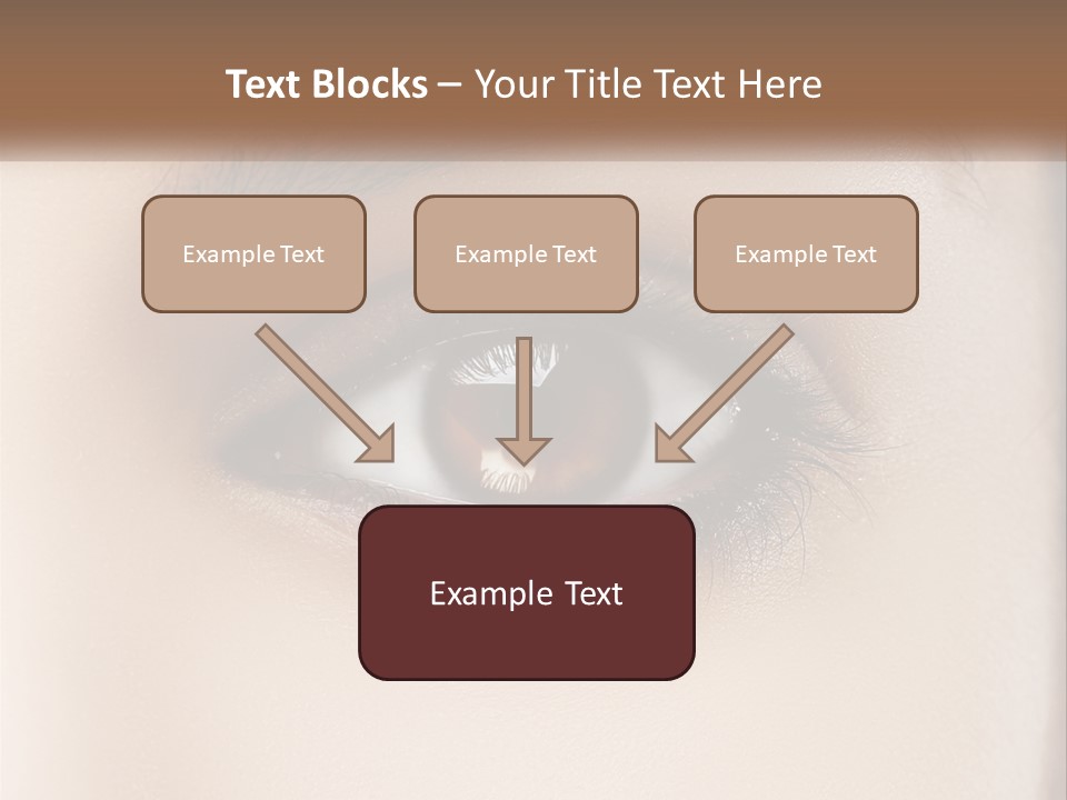 Build Leaf Home PowerPoint Template