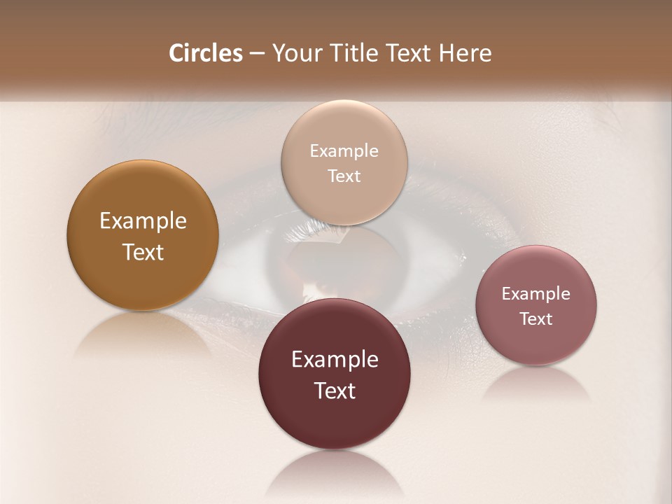 Build Leaf Home PowerPoint Template