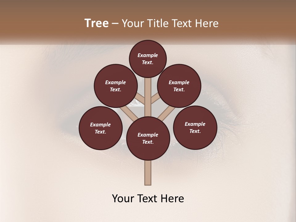 Build Leaf Home PowerPoint Template