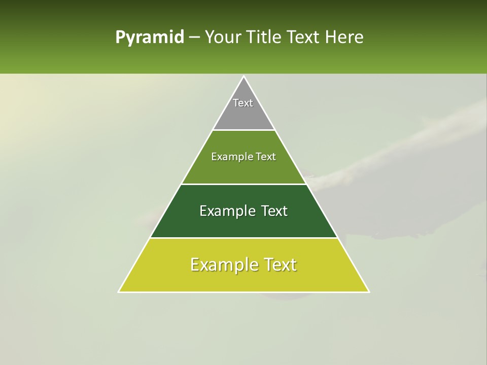 Model Nature Architecture PowerPoint Template
