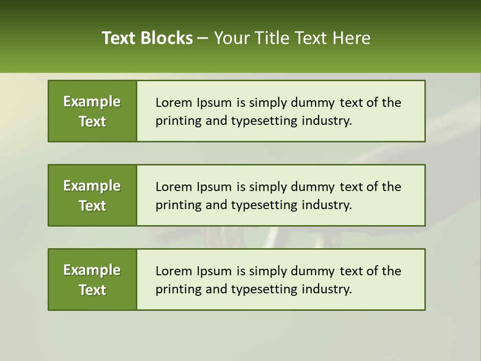 Model Nature Architecture PowerPoint Template