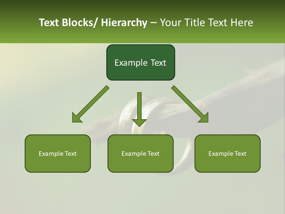 Model Nature Architecture PowerPoint Template