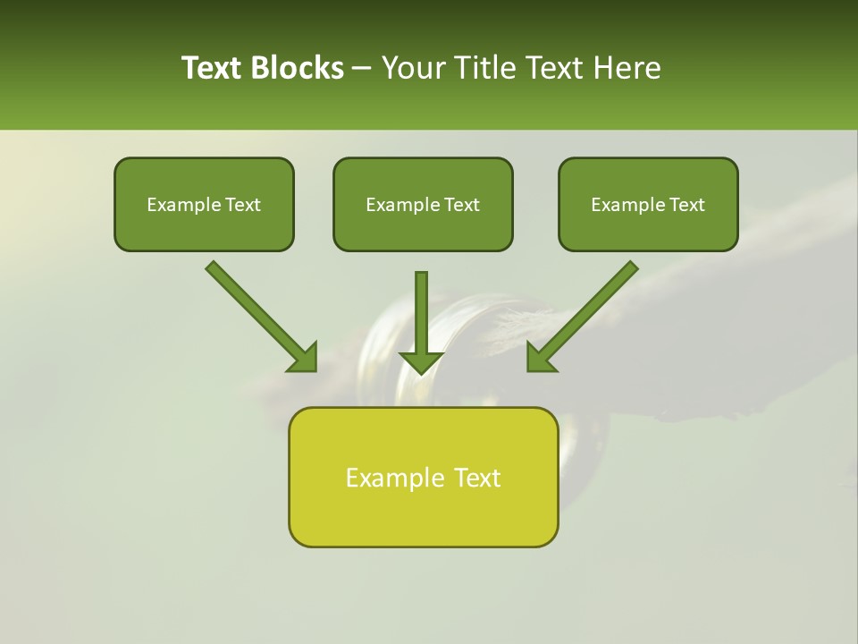 Model Nature Architecture PowerPoint Template