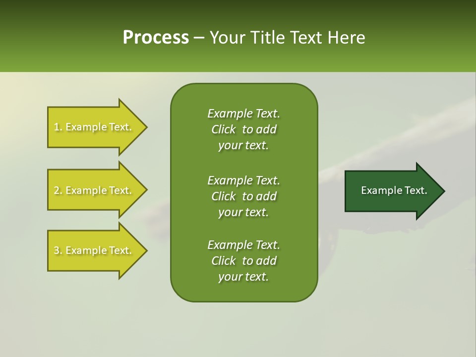 Model Nature Architecture PowerPoint Template