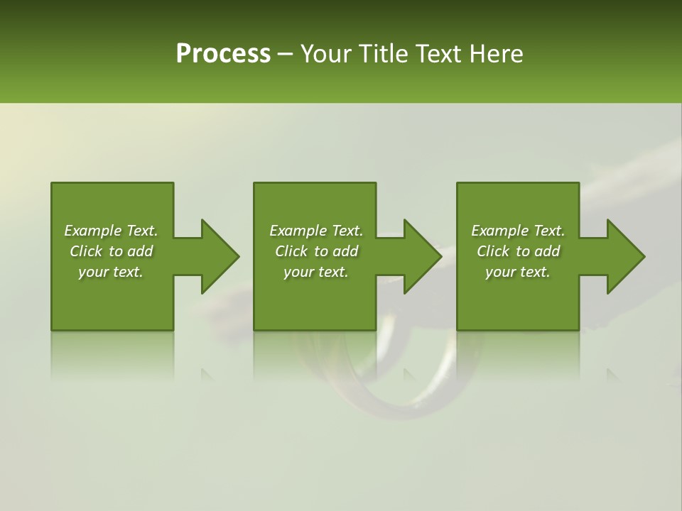 Model Nature Architecture PowerPoint Template