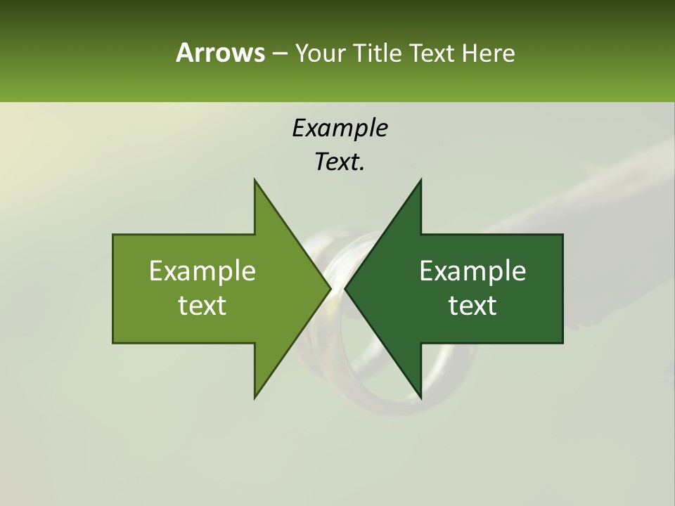 Model Nature Architecture PowerPoint Template