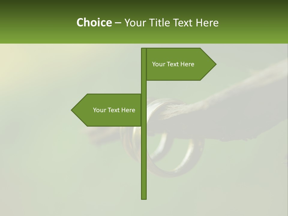 Model Nature Architecture PowerPoint Template