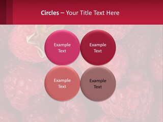 Construct Lawn Conceptual PowerPoint Template