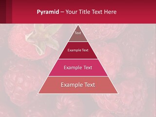 Construct Lawn Conceptual PowerPoint Template