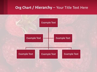 Construct Lawn Conceptual PowerPoint Template