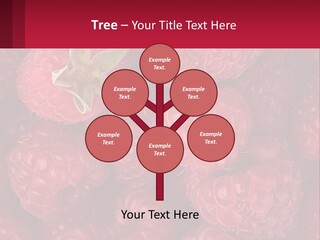 Construct Lawn Conceptual PowerPoint Template