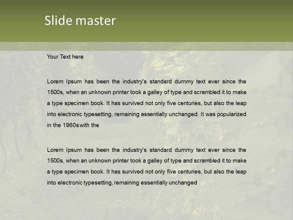 House Loan Structure PowerPoint Template