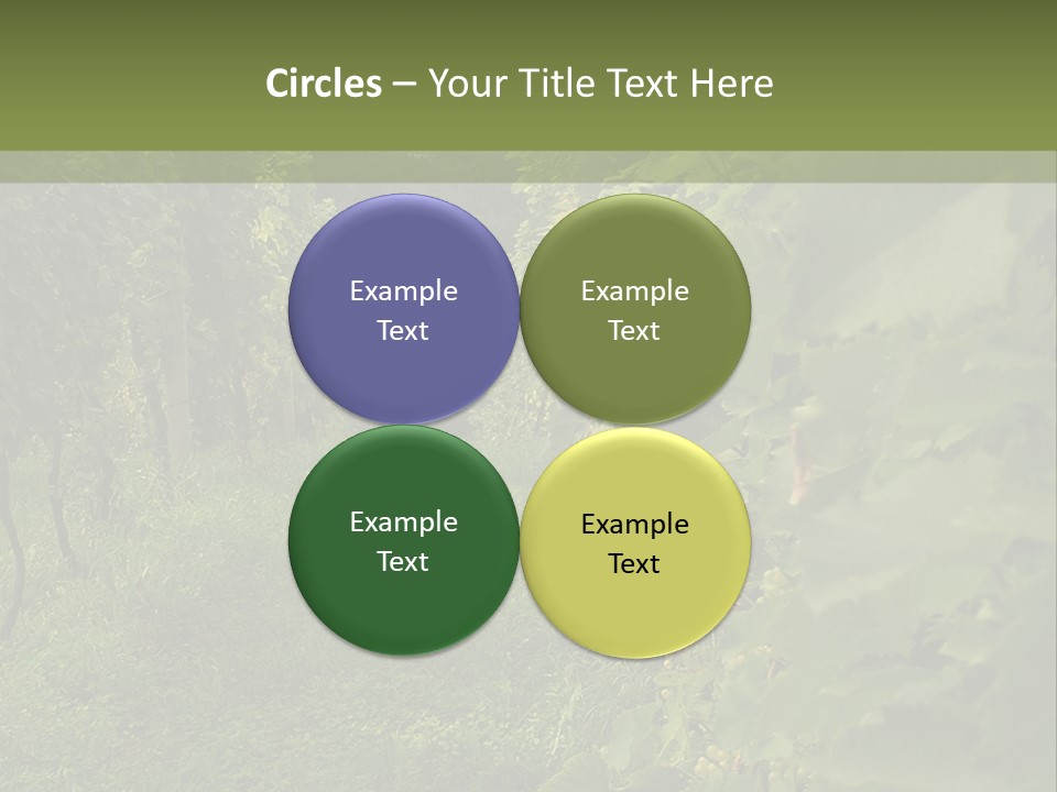 House Loan Structure PowerPoint Template