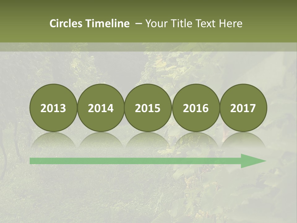 House Loan Structure PowerPoint Template