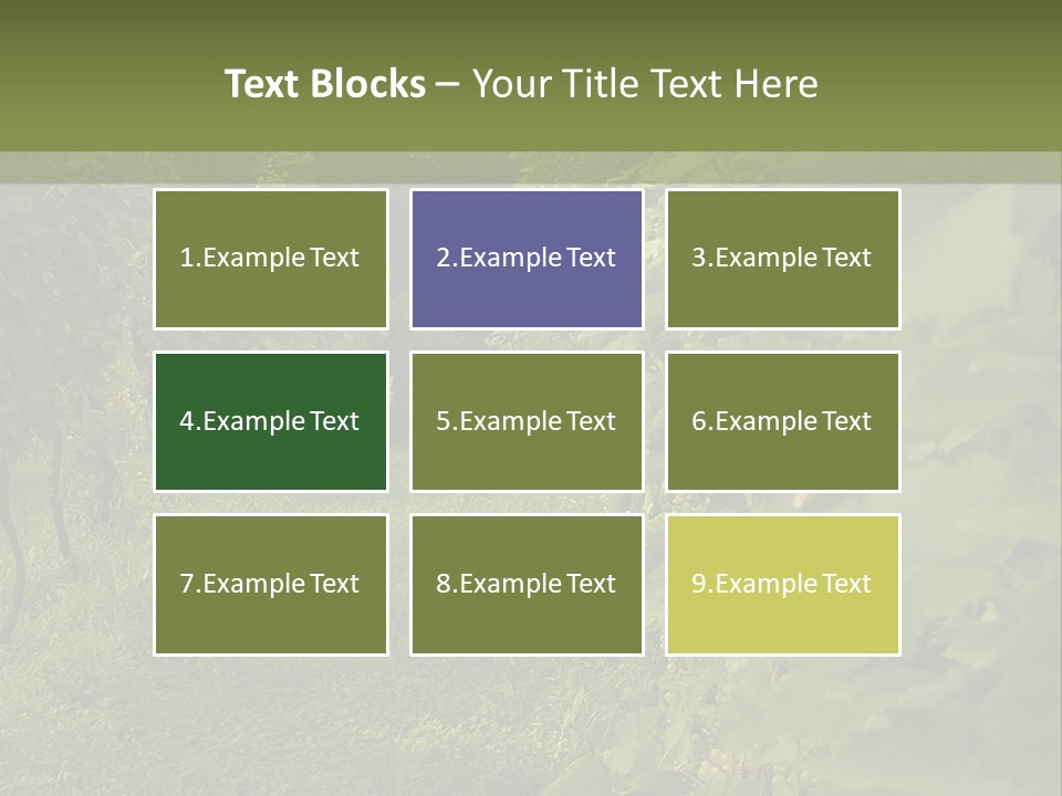 House Loan Structure PowerPoint Template
