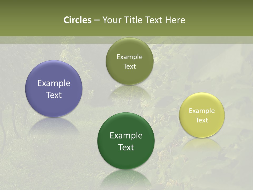 House Loan Structure PowerPoint Template