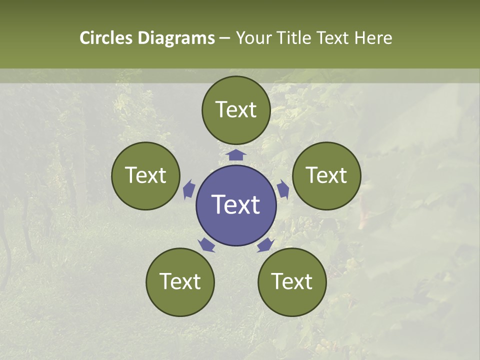 House Loan Structure PowerPoint Template