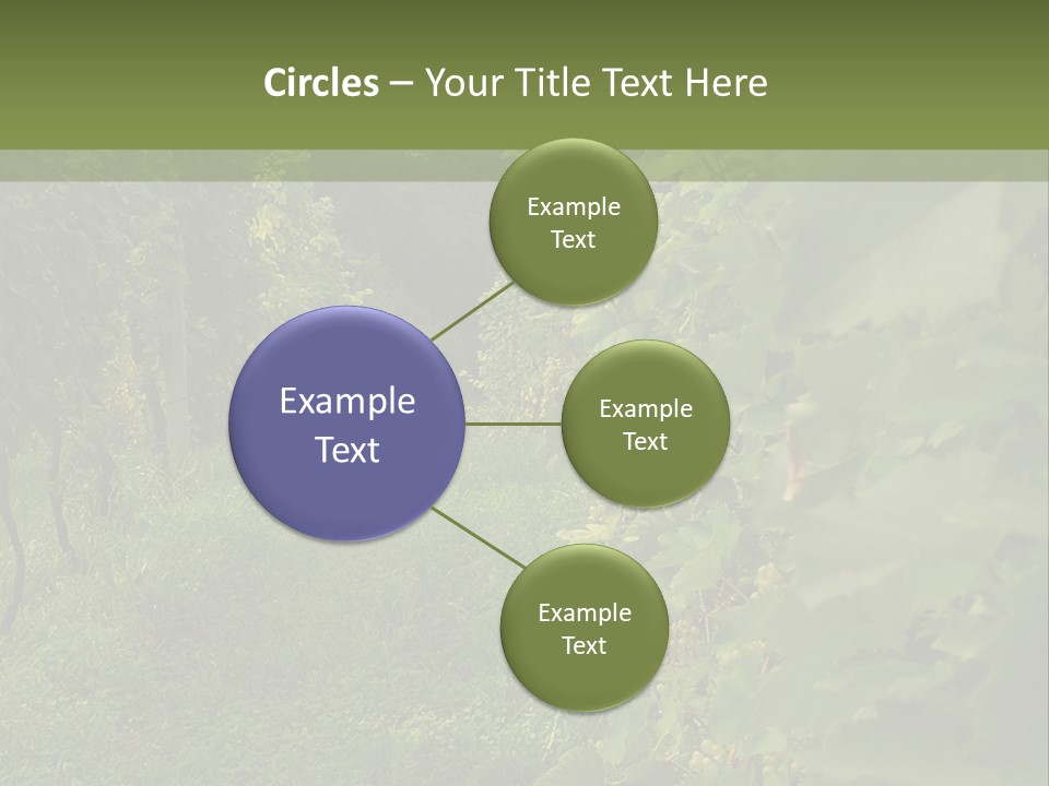 House Loan Structure PowerPoint Template